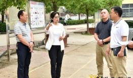 娱乐爆料怎么拍视频教程,轻松掌握娱乐爆料视频教程拍摄技巧